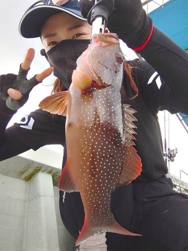 アカジンミーバイの釣果