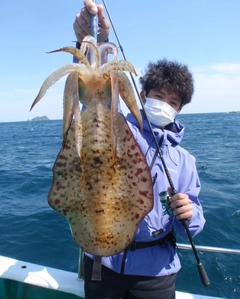 アオリイカの釣果