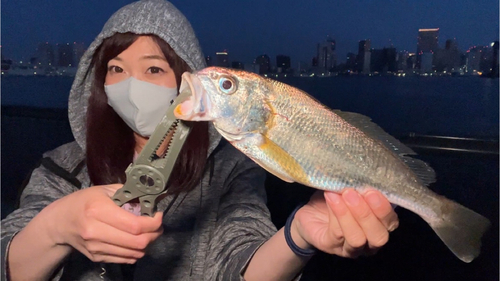 イシモチの釣果