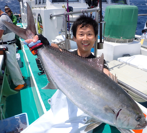 カンパチの釣果