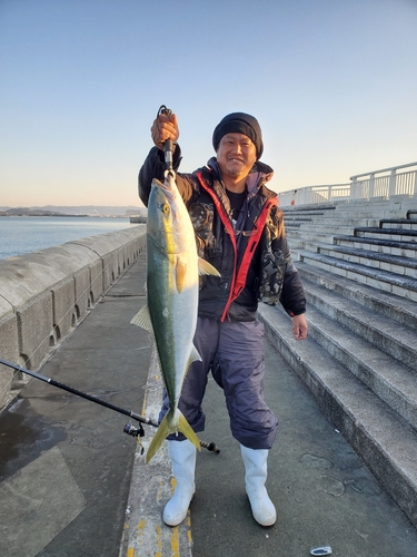 ブリの釣果