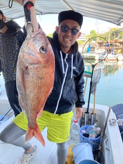 マダイの釣果