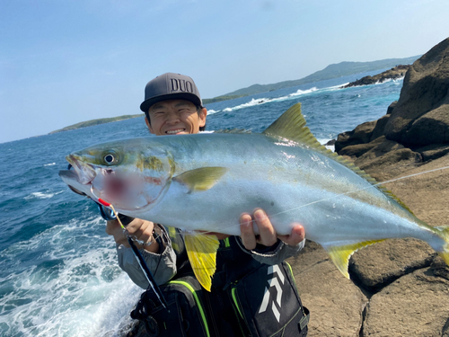 ヒラマサの釣果