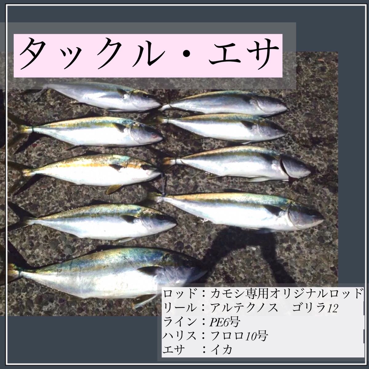 ねこねこ釣り好きさんの釣果 2枚目の画像