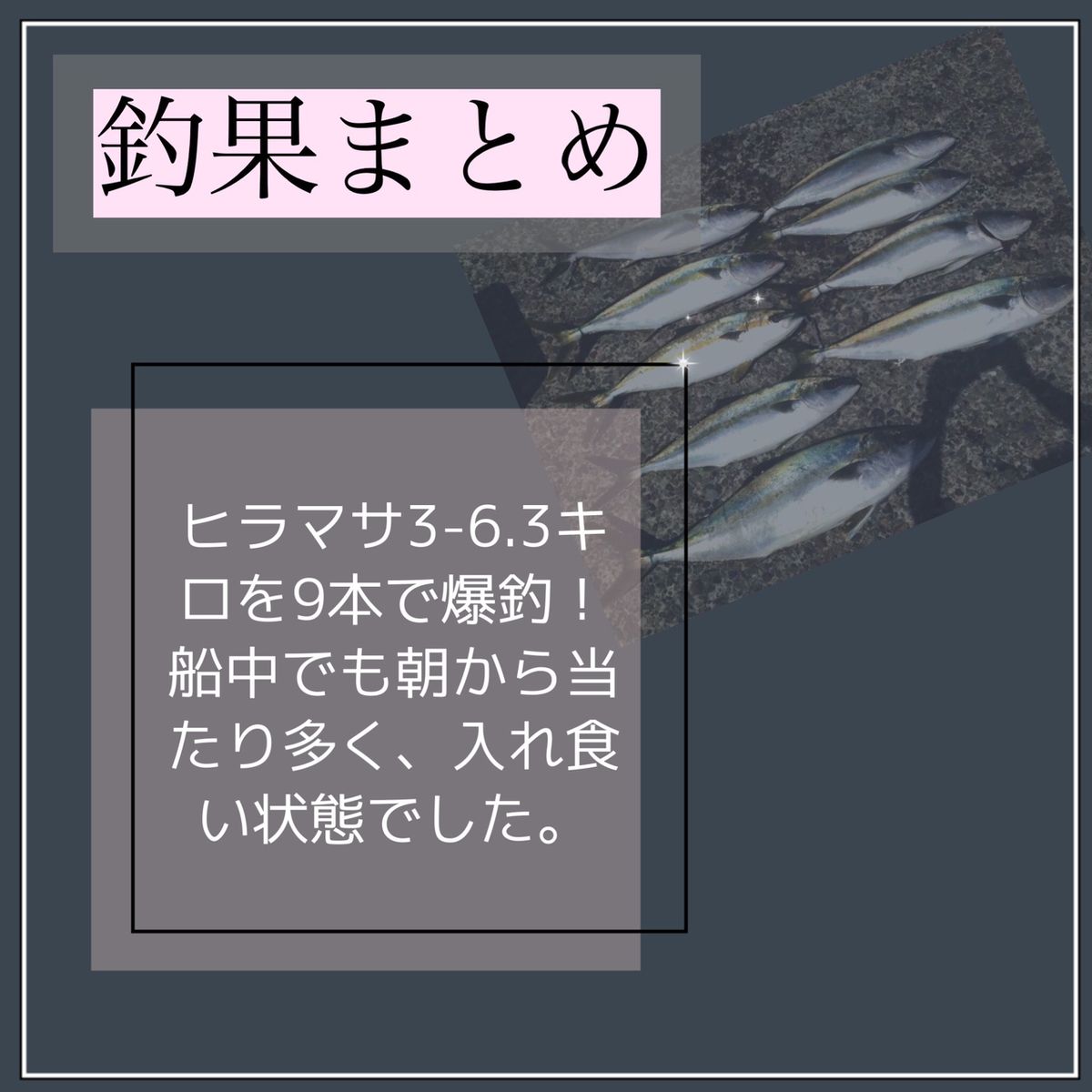ねこねこ釣り好きさんの釣果 3枚目の画像