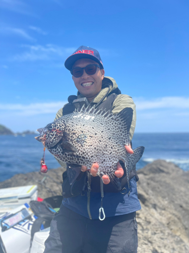 イシダイの釣果