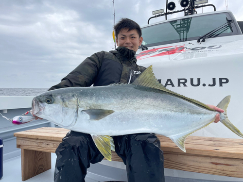 ヒラマサの釣果