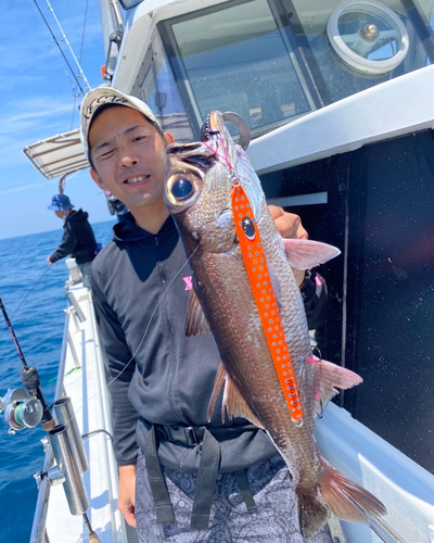 クロムツの釣果