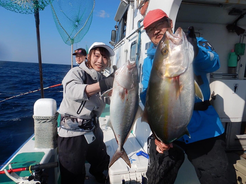 カンパチの釣果