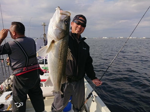 シーバスの釣果