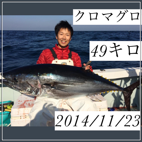 クロマグロの釣果