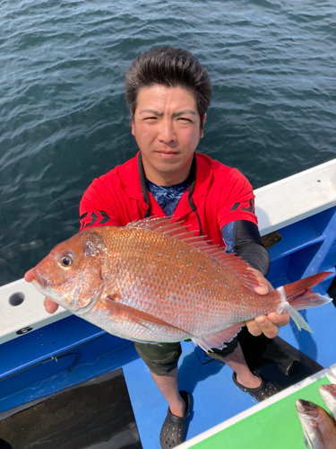 マダイの釣果