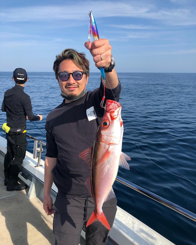 ハチビキの釣果