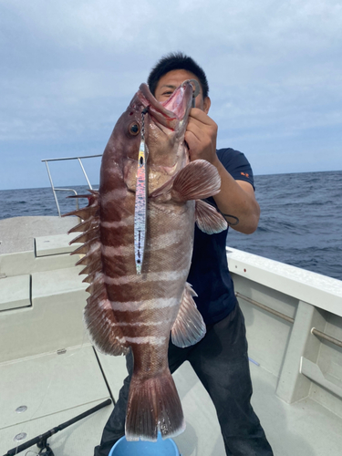 タカバーの釣果