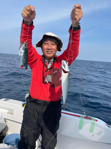 サバの釣果