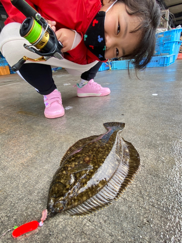 クロガシラガレイの釣果