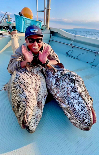 ヤイトハタの釣果