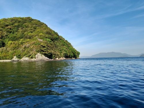 クロメバルの釣果