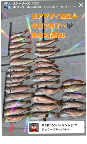 シロアマダイの釣果