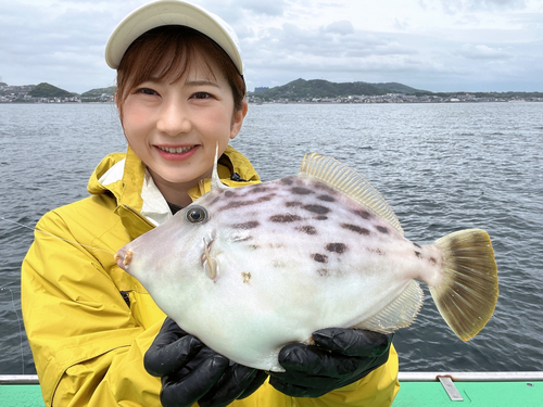 カワハギの釣果