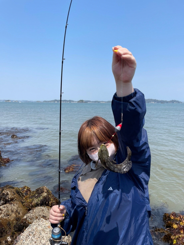 アイナメの釣果