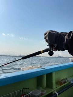 マイワシの釣果