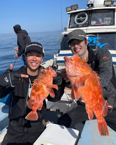 ウッカリカサゴの釣果