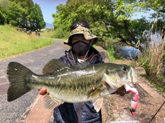 ブラックバスの釣果