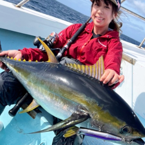 キハダマグロの釣果