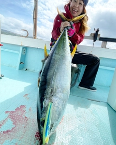 キハダマグロの釣果