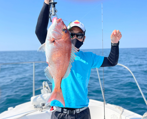 タイの釣果