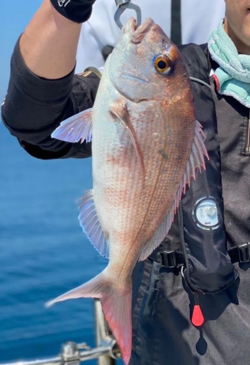 TAKU〆関西圏さんの釣果 1枚目の画像