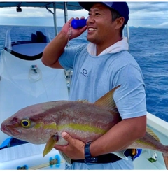 カンパチの釣果