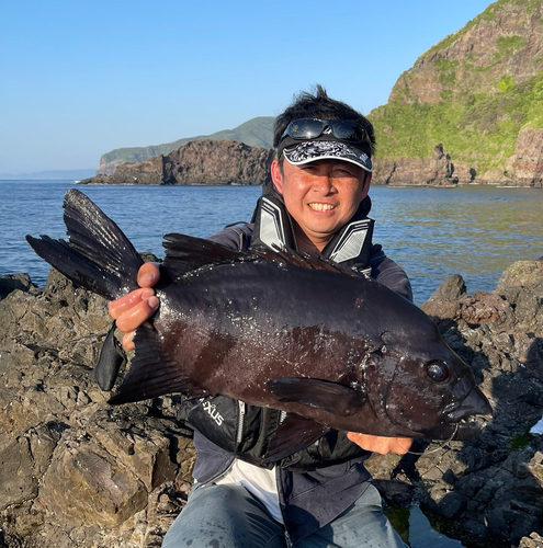 イシダイの釣果