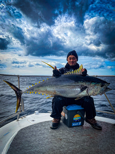 キハダマグロの釣果