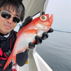 キンメダイの釣果