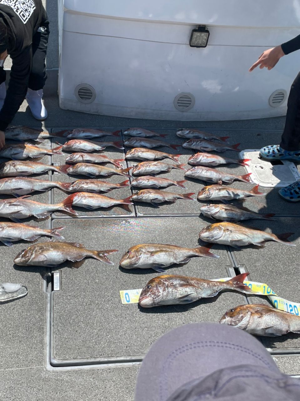 みよっさん。さんの釣果 2枚目の画像