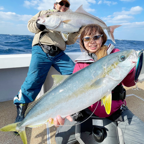 ヒラマサの釣果