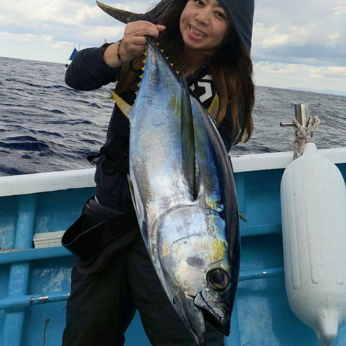 キメジの釣果