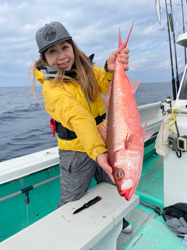 ハチビキの釣果