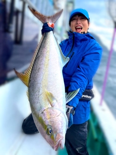 カンパチの釣果