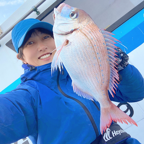 チダイの釣果