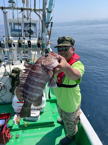 マハタの釣果