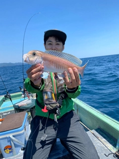 シロアマダイの釣果