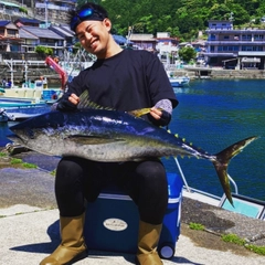 キハダマグロの釣果