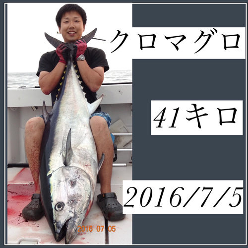 クロマグロの釣果