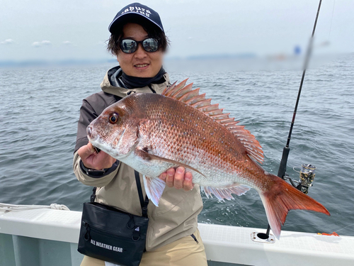 タイの釣果