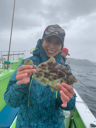 カワハギの釣果