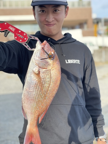 タイの釣果