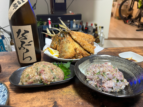 アジの釣果